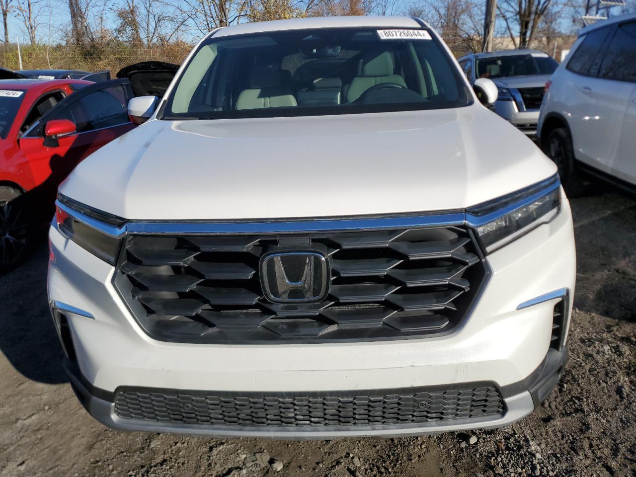 2024 HONDA PILOT EXL - Image 5