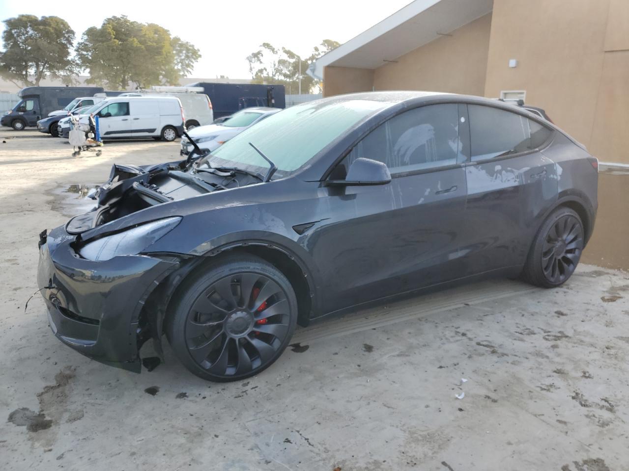 2025 TESLA MODEL Y