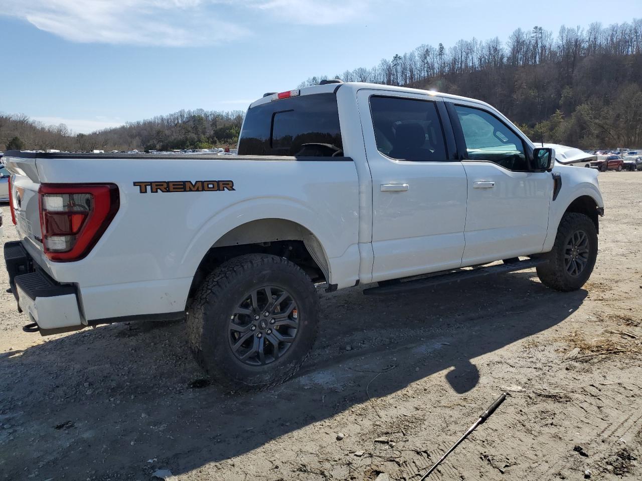 2023 FORD F150 SUPER - Image 3