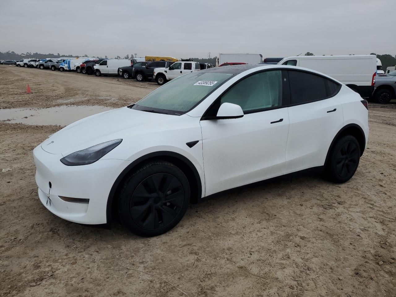 2025 TESLA MODEL Y