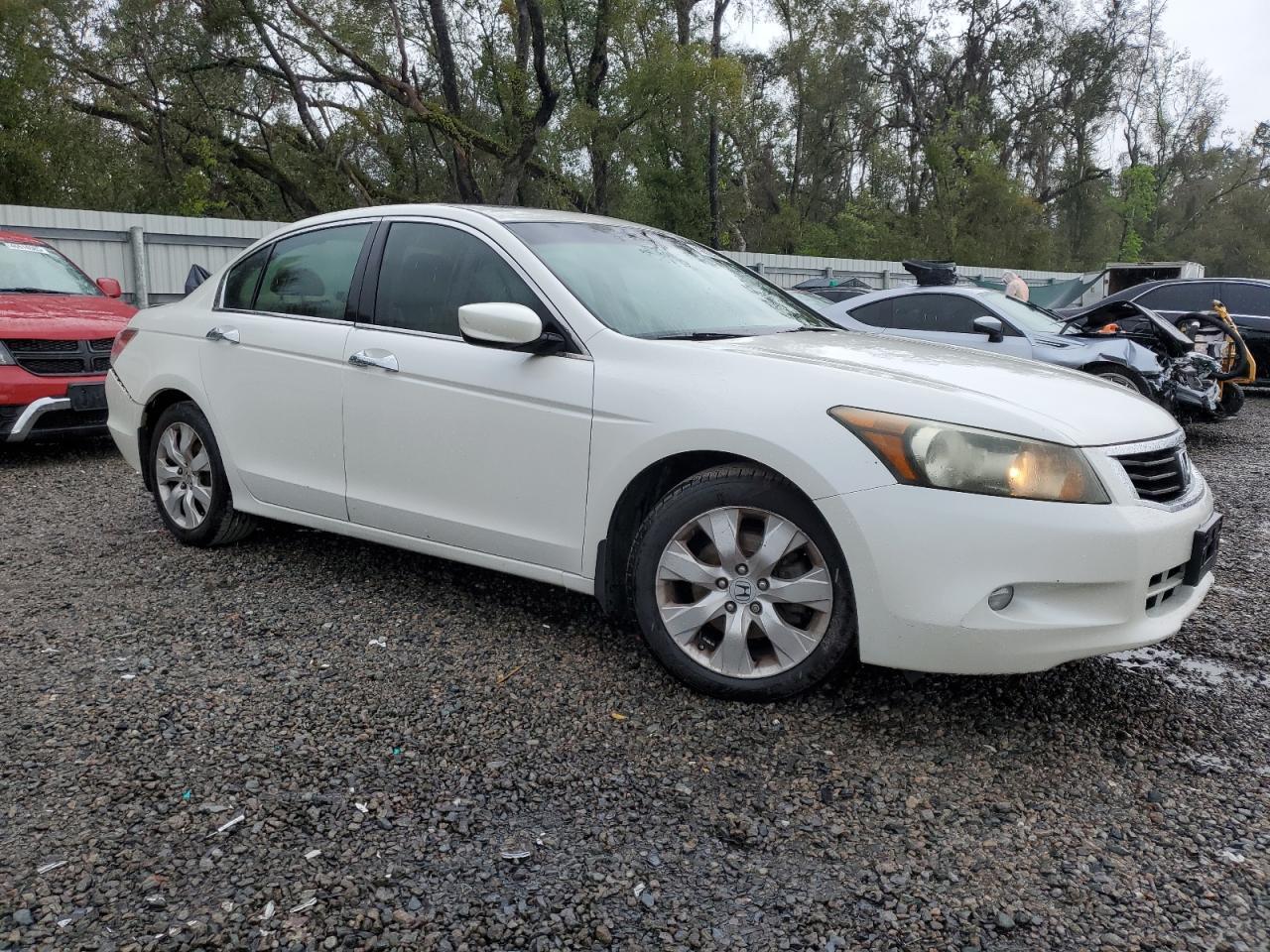 2010 HONDA ACCORD EXL - Фото 4