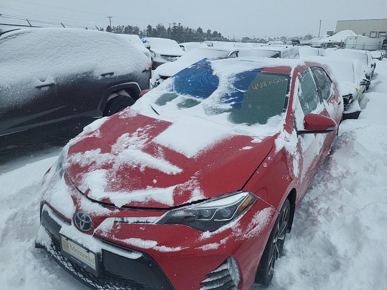 2019 TOYOTA COROLLA L