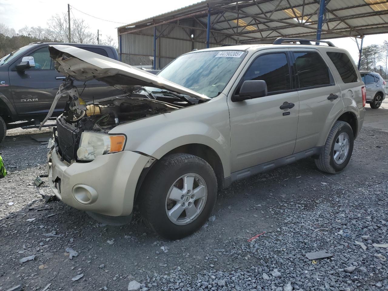 2010 FORD ESCAPE XLT