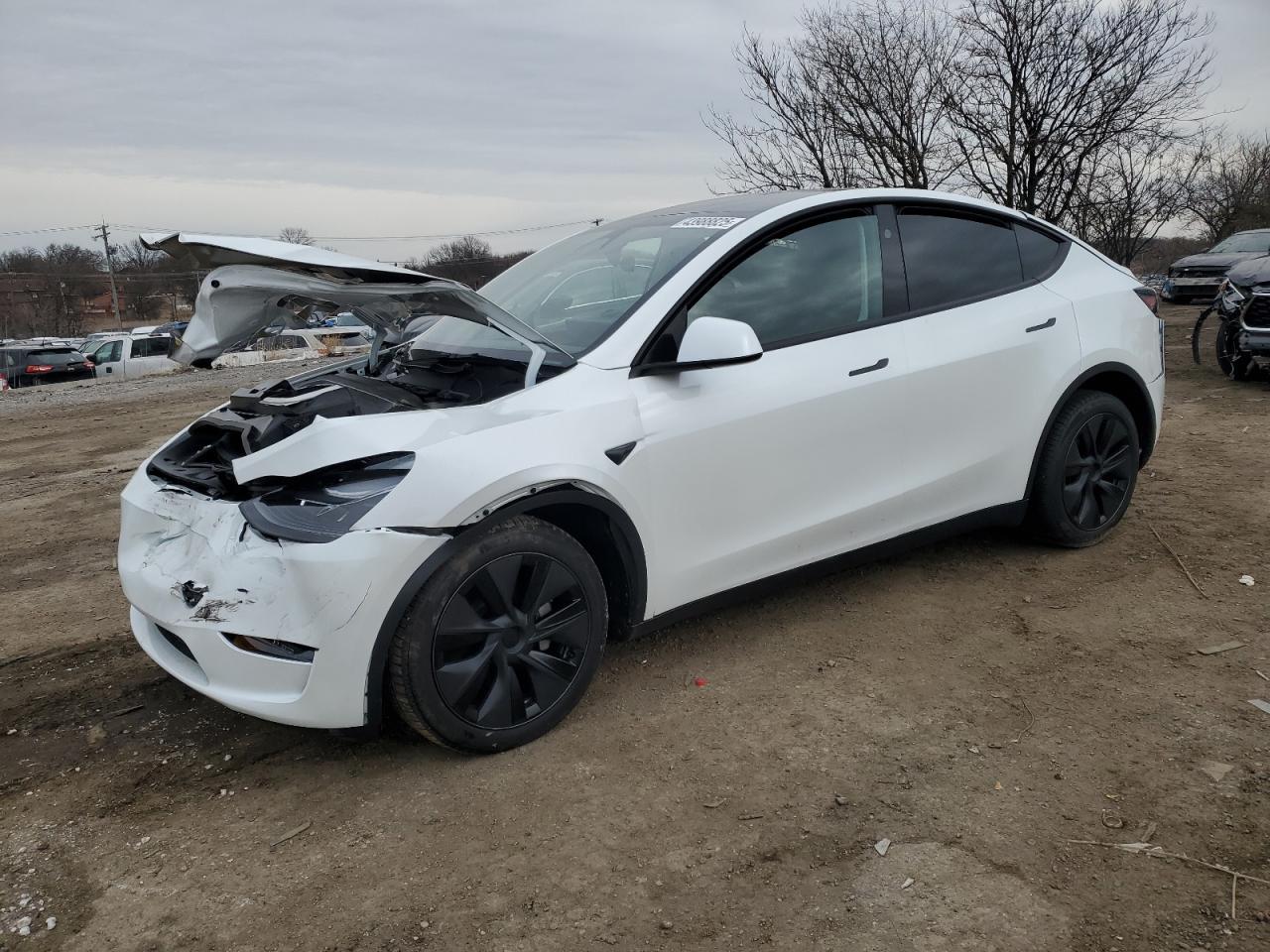 2025 TESLA MODEL Y