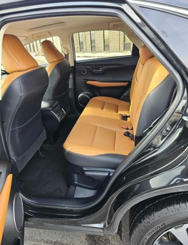2020 LEXUS NX 300H - Image 6