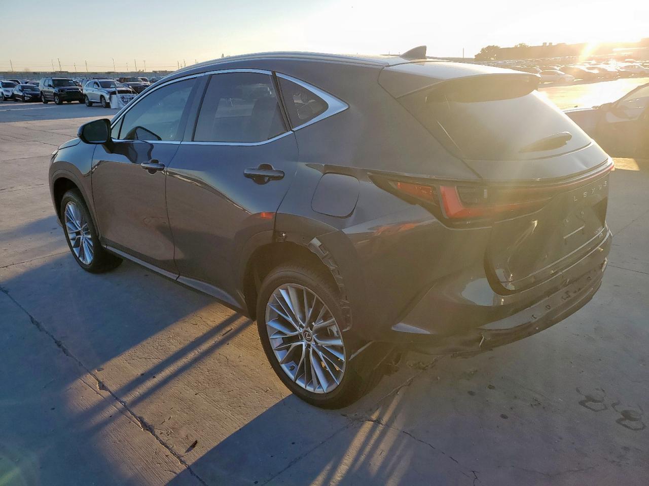 2023 LEXUS NX 350 - Image 2