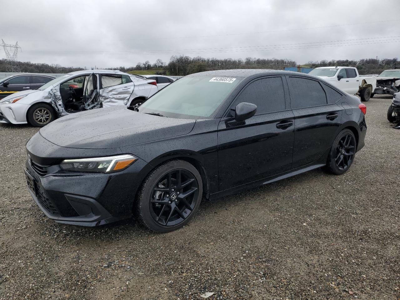 2024 HONDA CIVIC SPOR