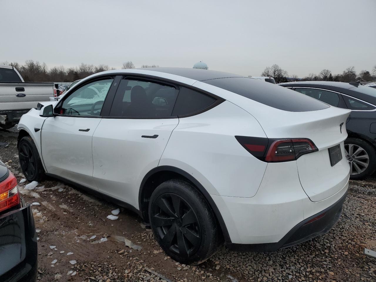 2023 TESLA MODEL Y - Фото 2