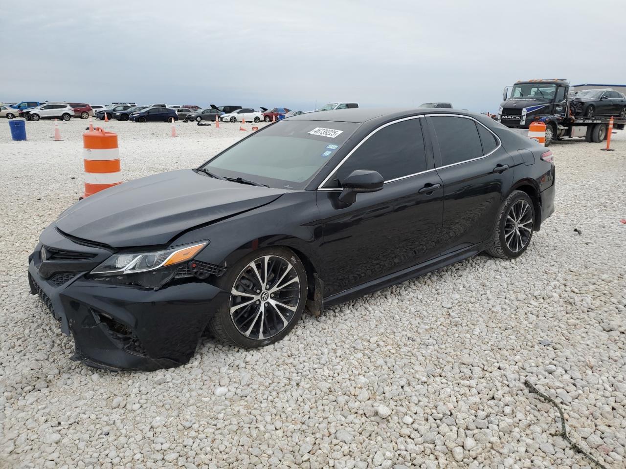 2019 TOYOTA CAMRY L