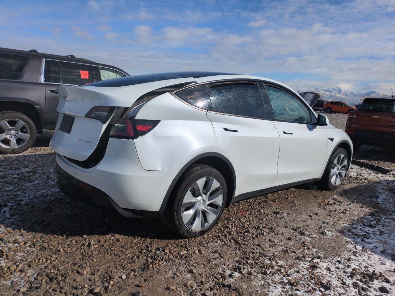 2023 TESLA MODEL Y - Фото 3