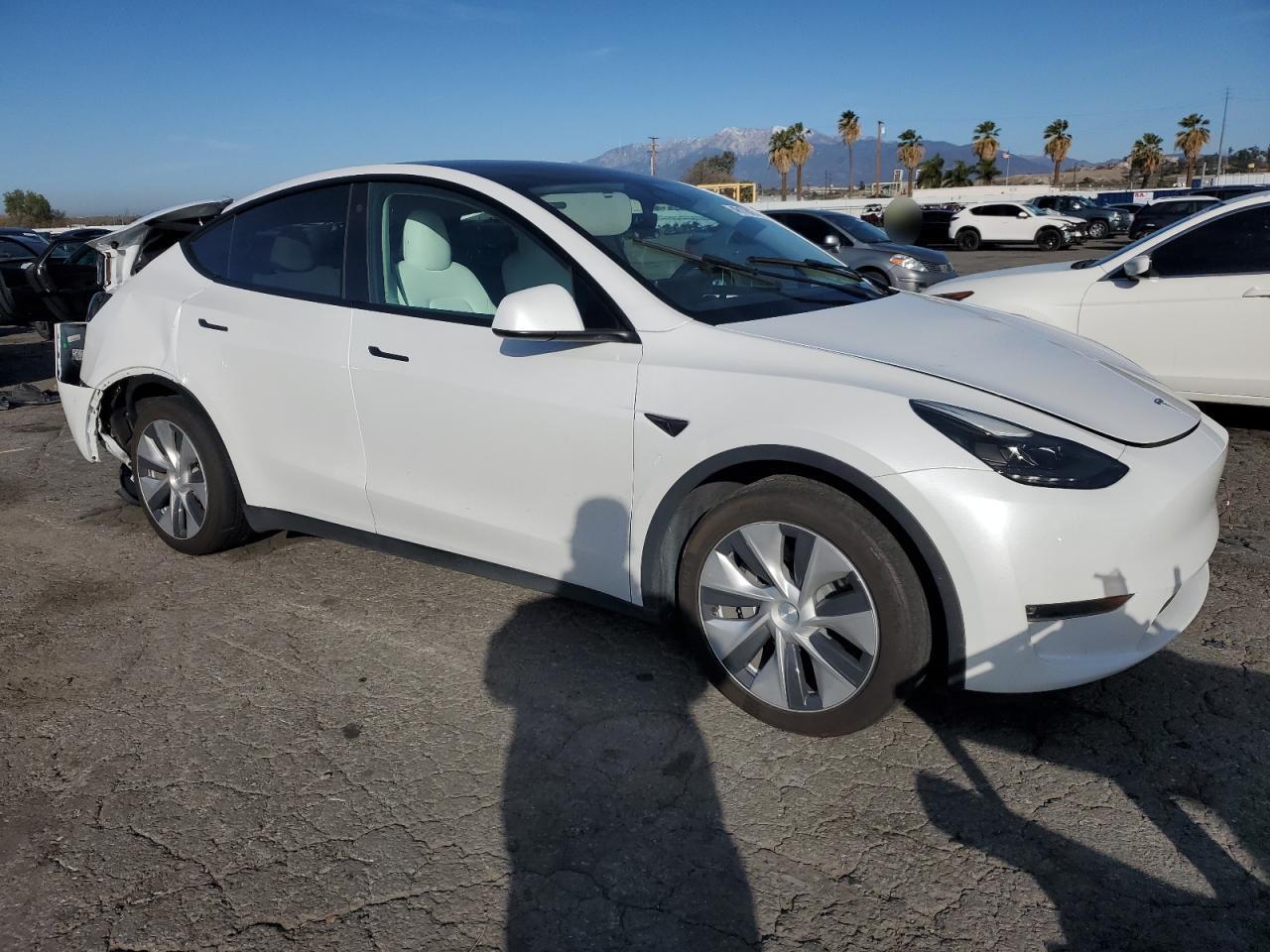 2023 TESLA MODEL Y - Image 4