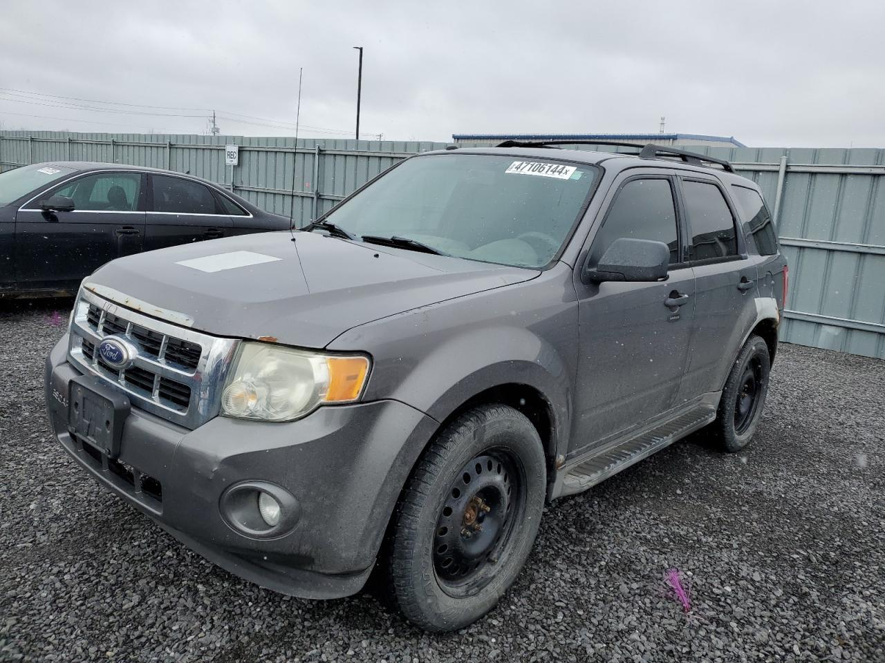 2010 FORD ESCAPE XLT