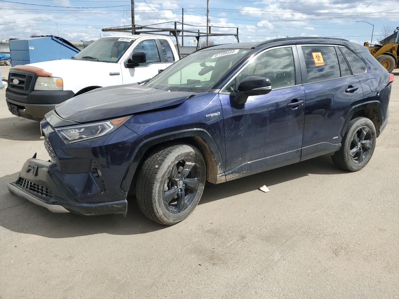 2019 TOYOTA RAV4 XSE car image