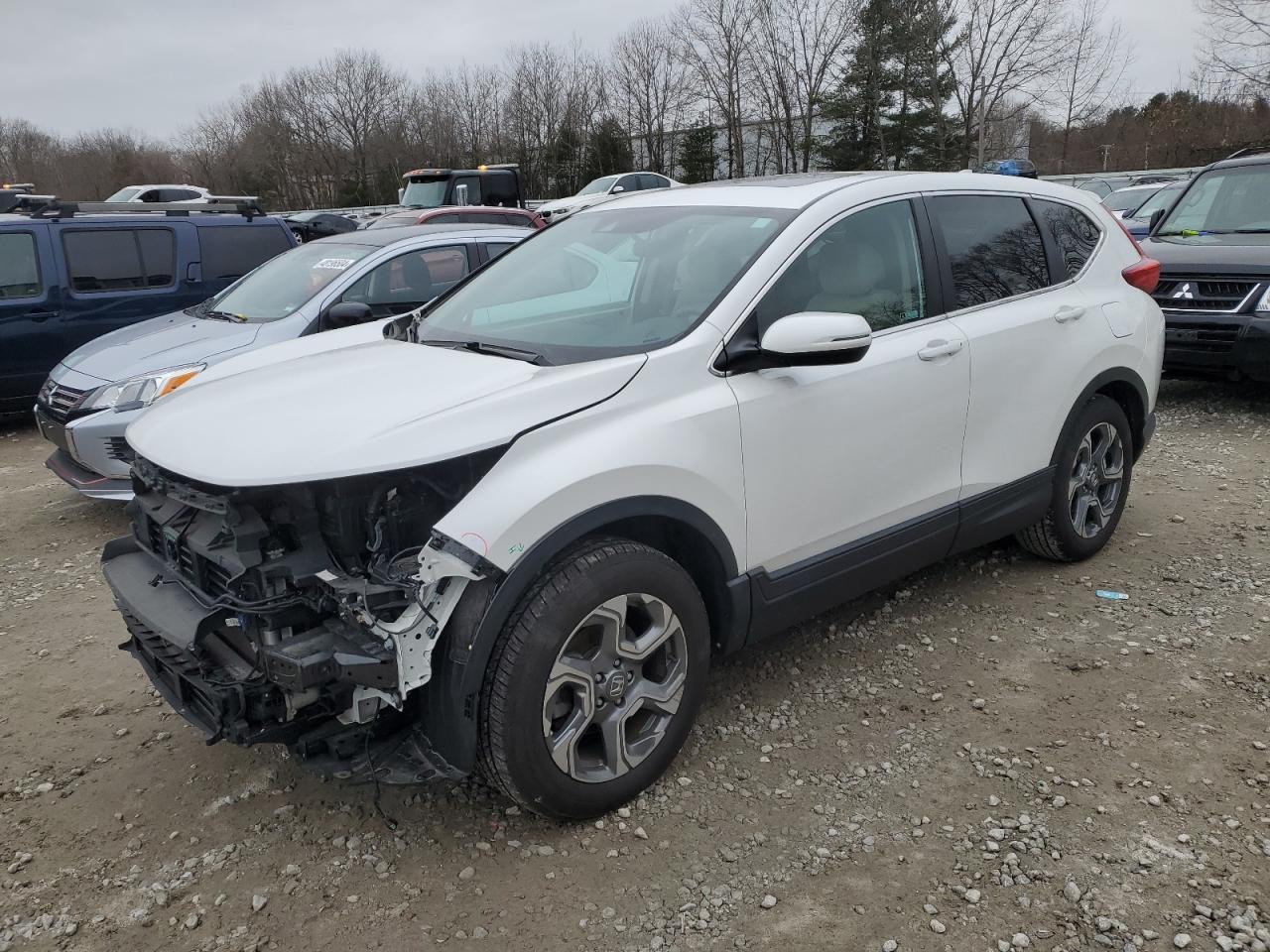 2019 HONDA CR-V EX