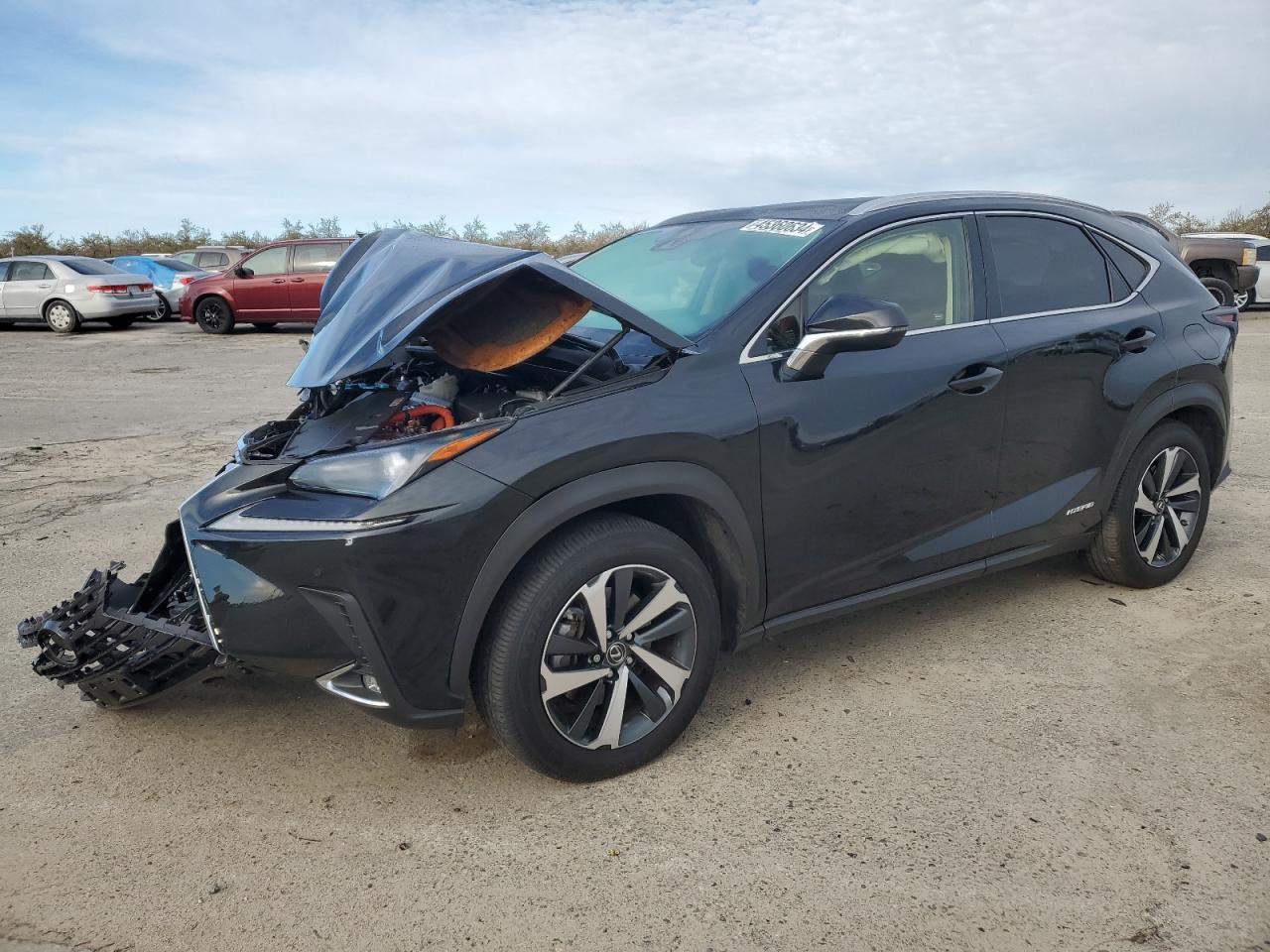 2021 LEXUS NX 300H BA car image