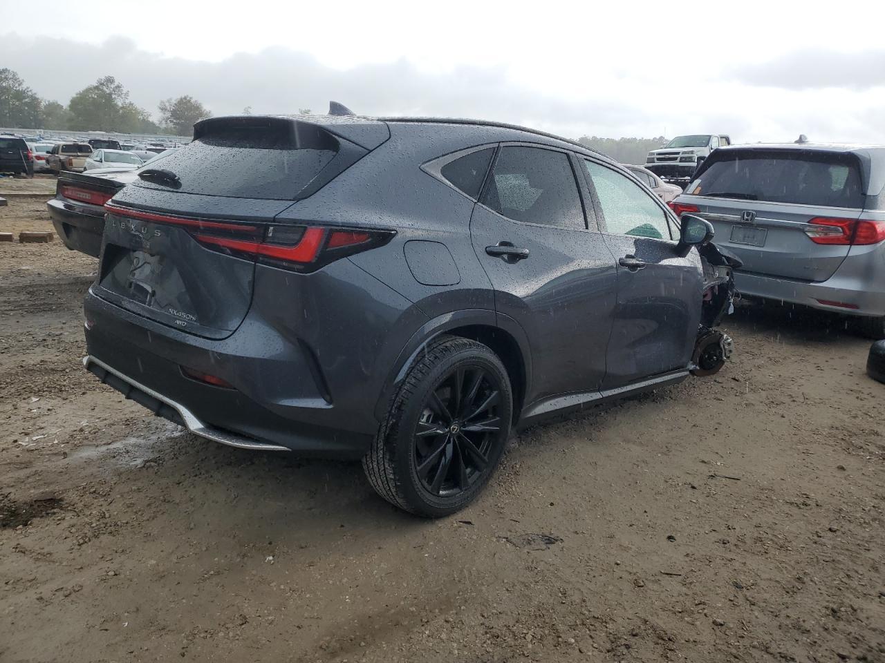 2024 LEXUS NX 450H LU - Фото 3