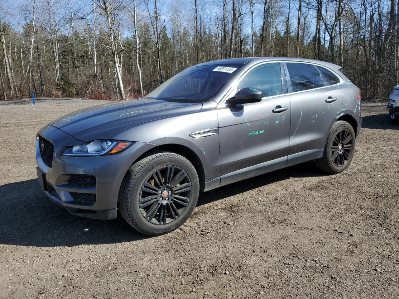 2019 JAGUAR F-PACE PRE
