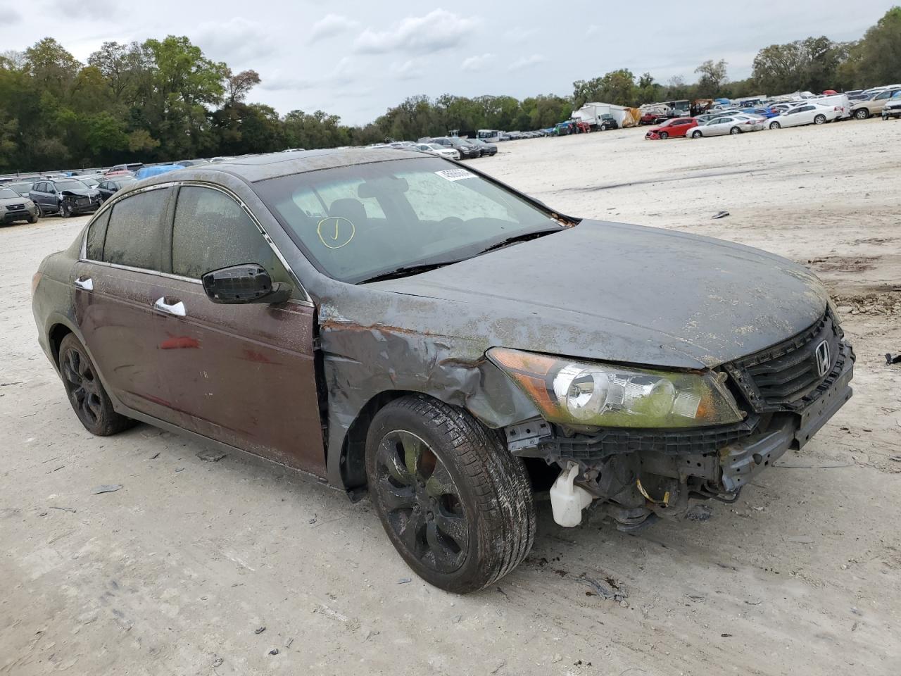 2010 HONDA ACCORD EXL - Фото 4
