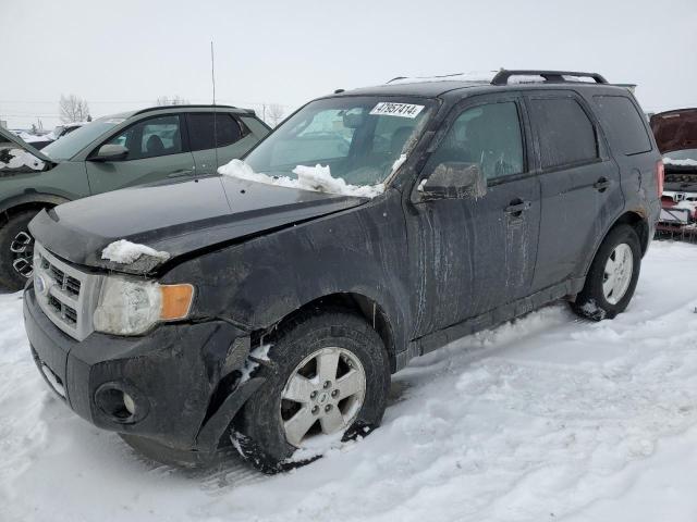 2012 Ford Escape Xlt