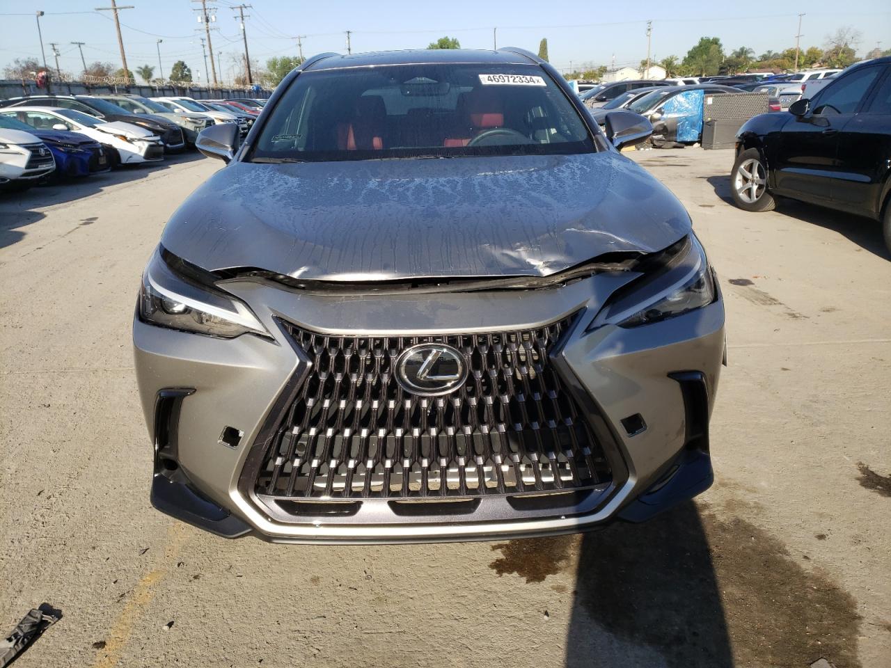 2024 LEXUS NX 350H BA - Фото 5