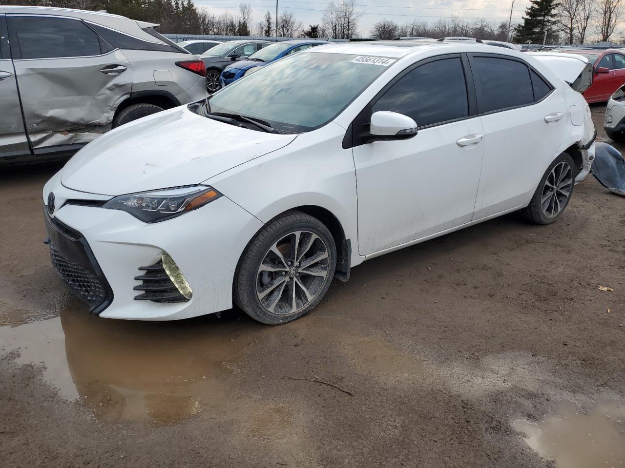 2019 TOYOTA COROLLA L