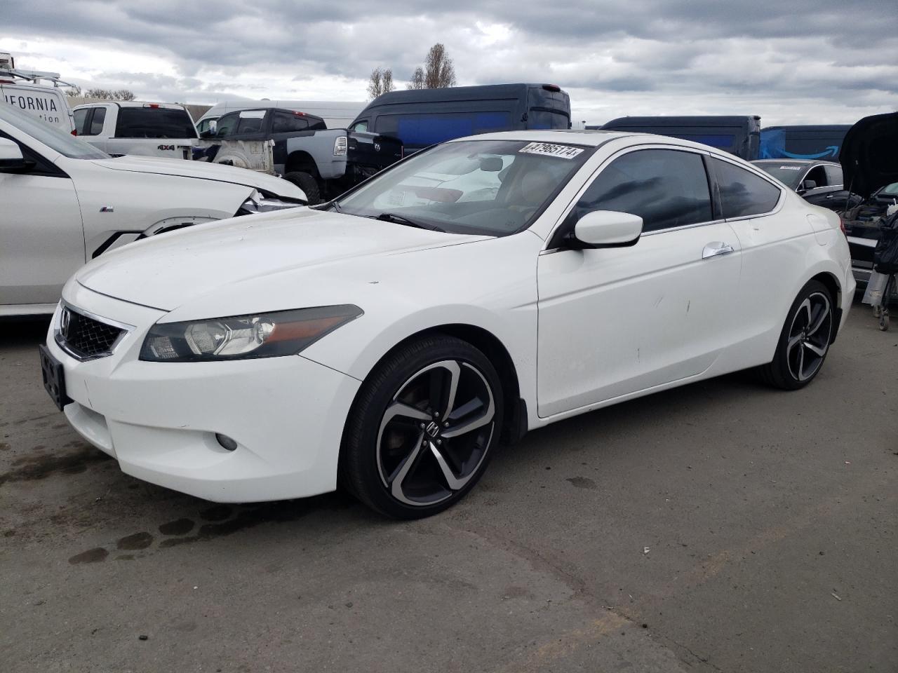2010 HONDA ACCORD EXL