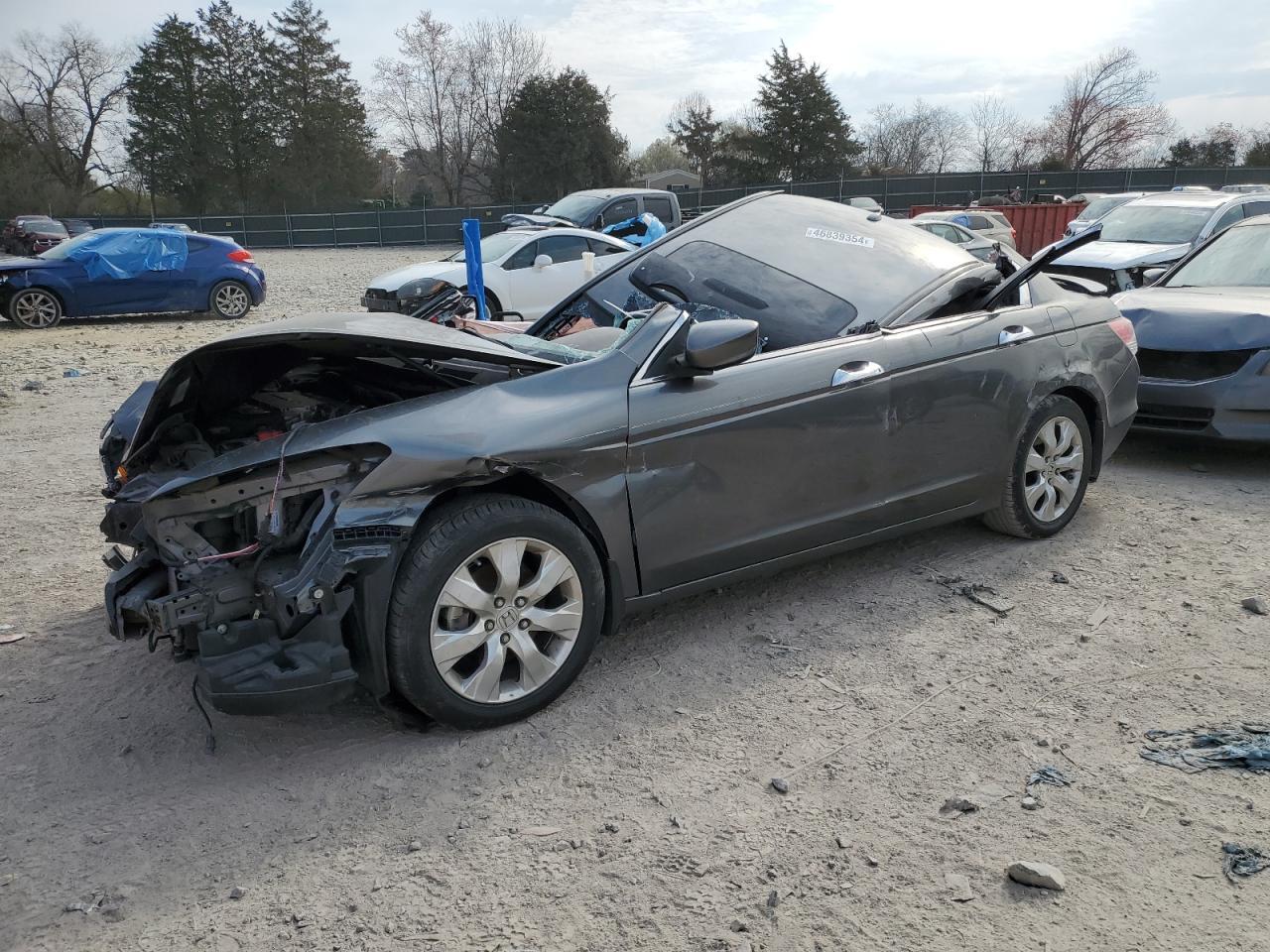 2010 HONDA ACCORD EXL