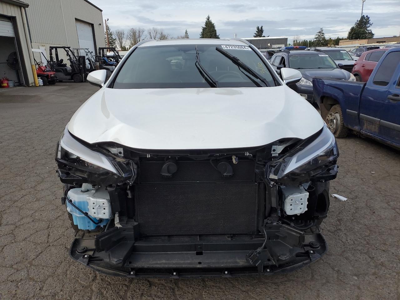 2023 LEXUS NX 350H - Фото 5