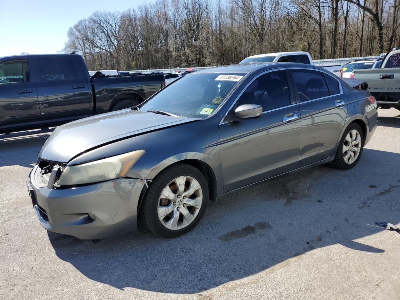 2010 HONDA ACCORD EXL