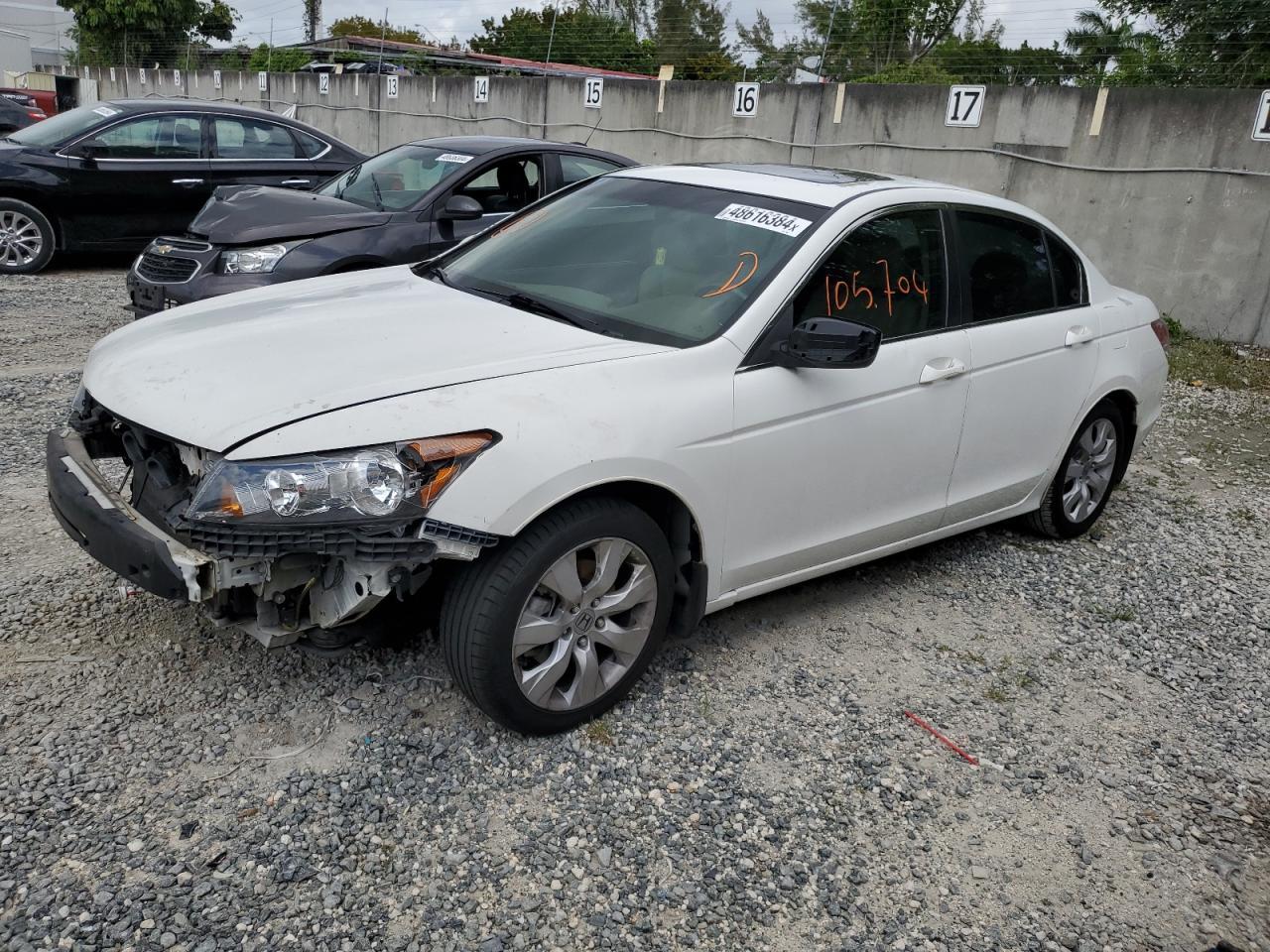 2010 HONDA ACCORD EXL