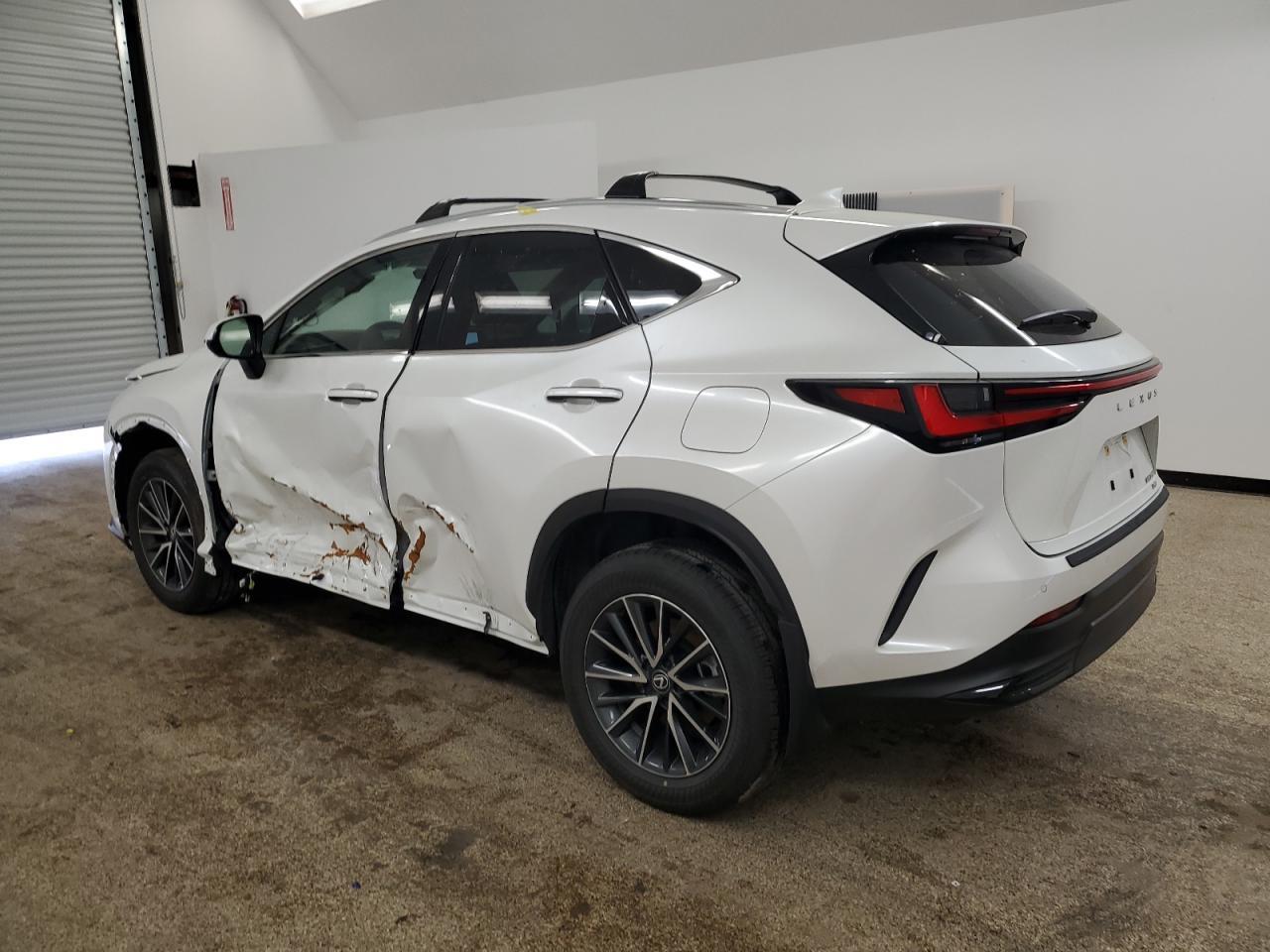 2024 LEXUS NX 350H BA - Image 2