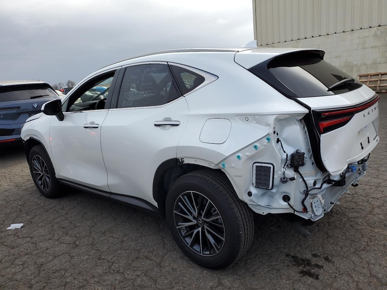 2023 LEXUS NX 350H - Фото 2