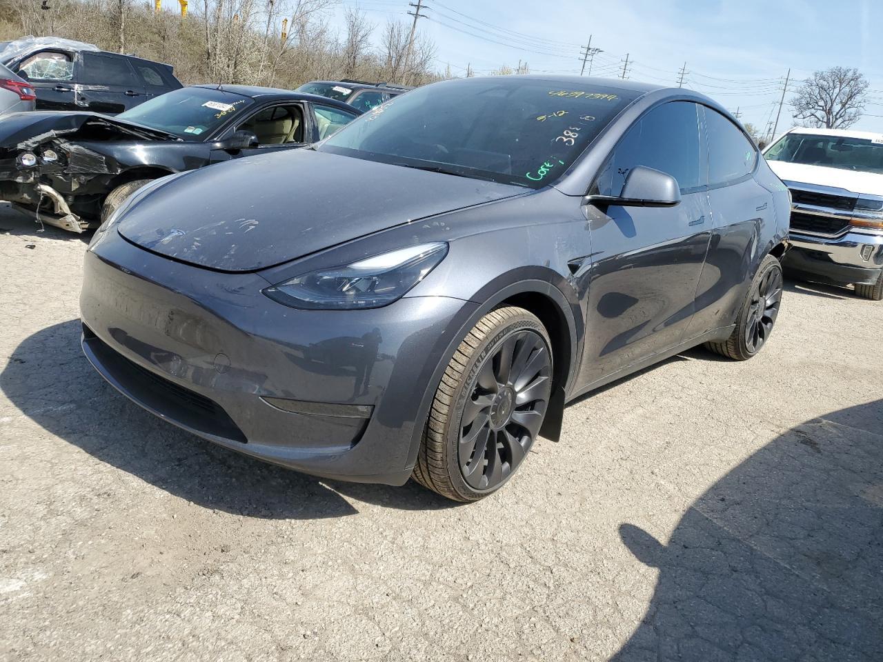 2023 TESLA MODEL Y car image