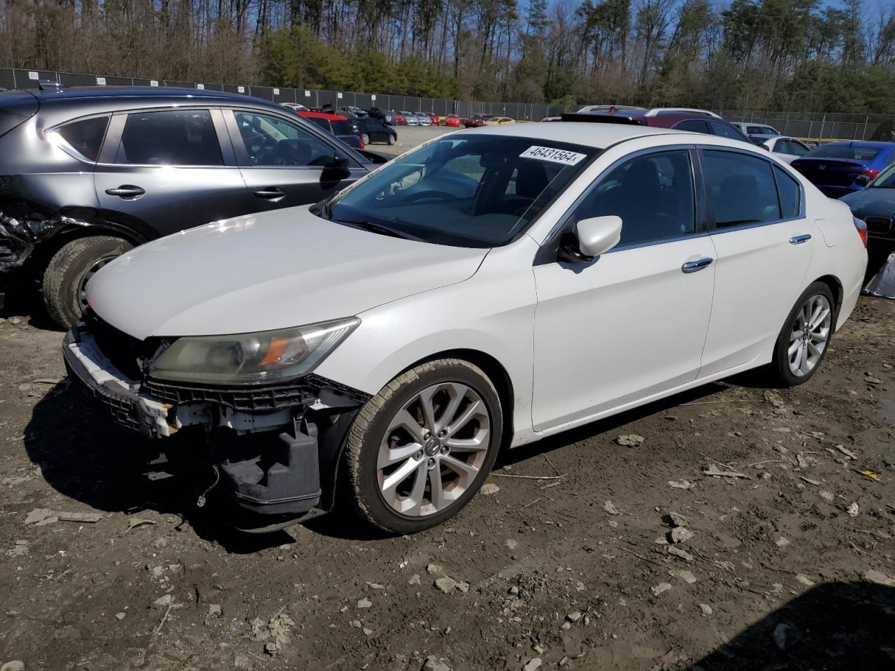 2014 HONDA ACCORD SPO