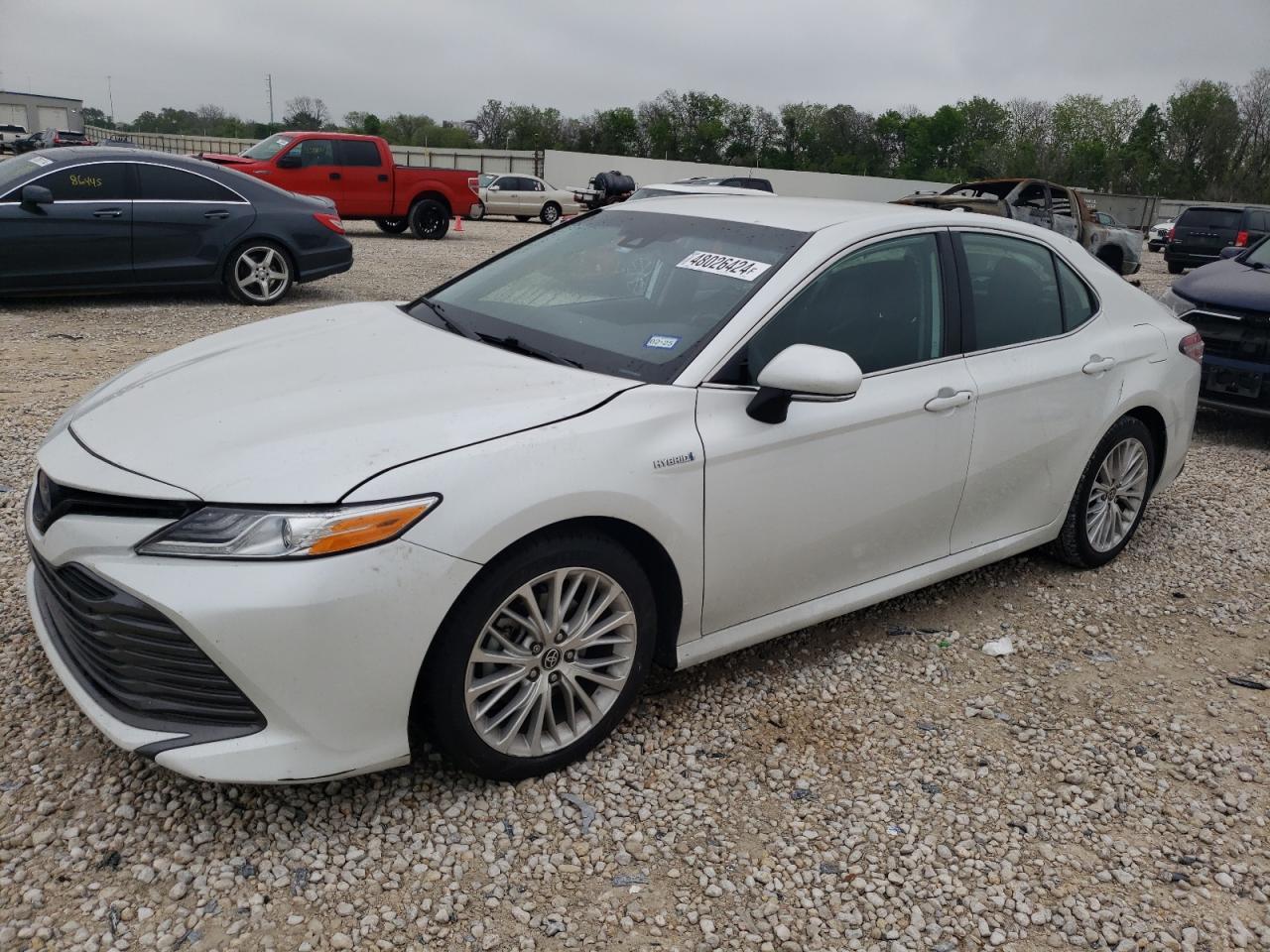 2020 TOYOTA CAMRY XLE car image