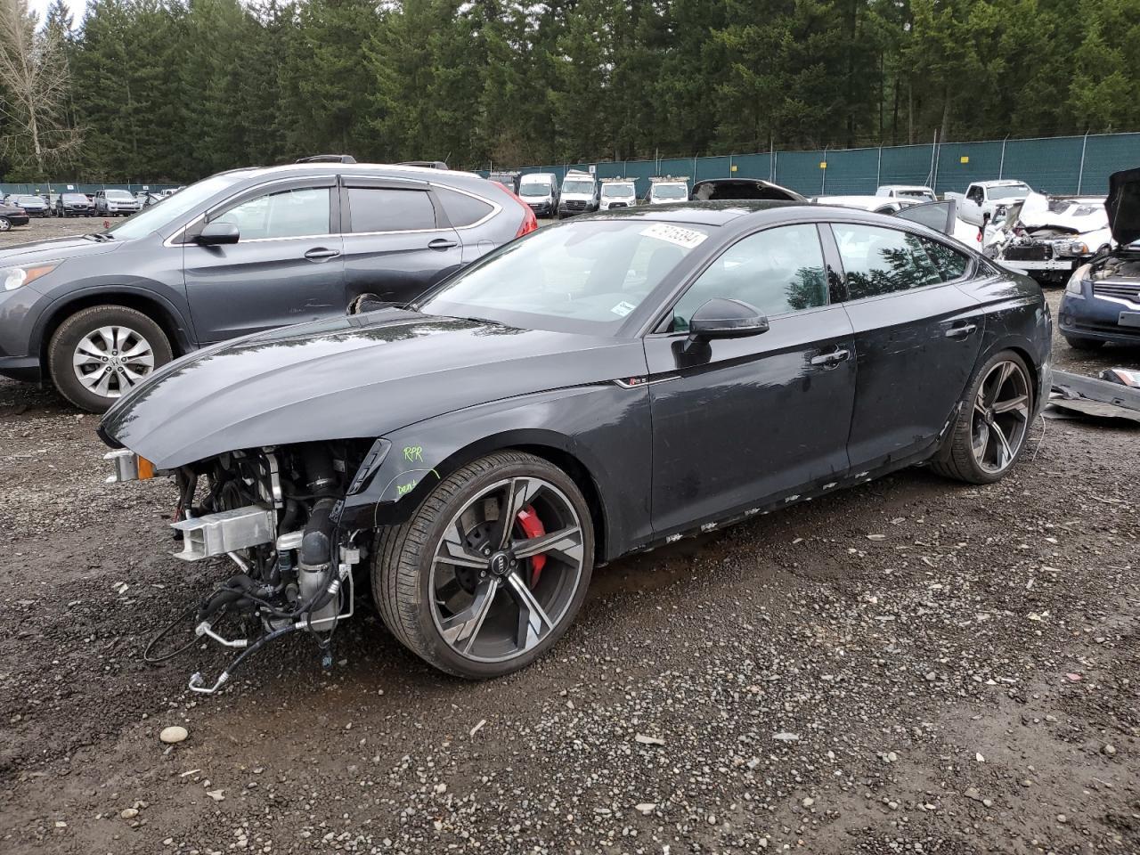 2019 AUDI RS5 car image