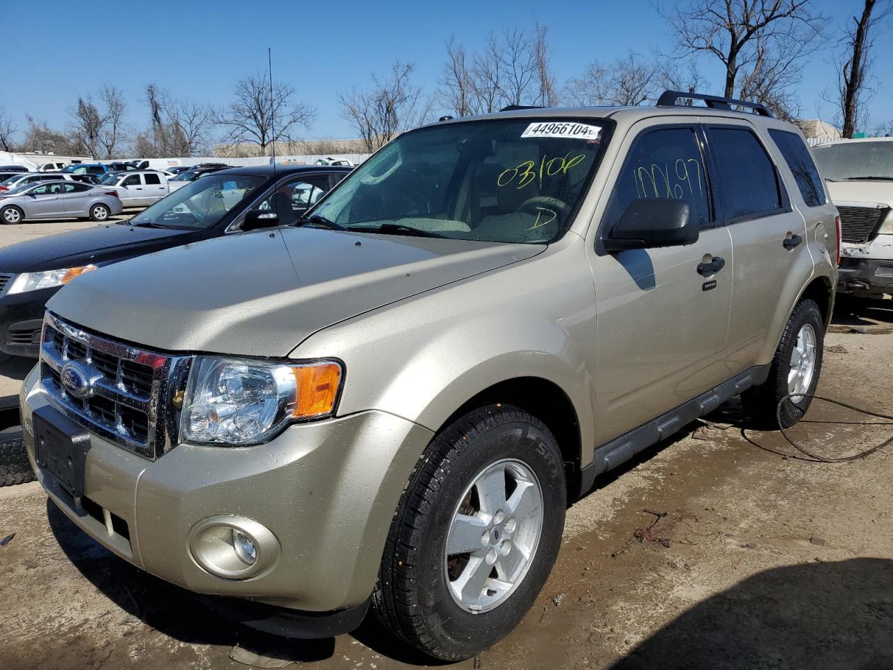 2010 FORD ESCAPE XLT