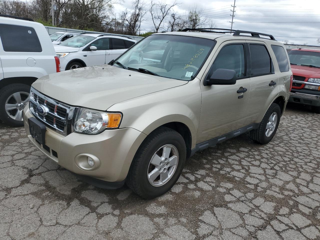 2010 FORD ESCAPE XLT