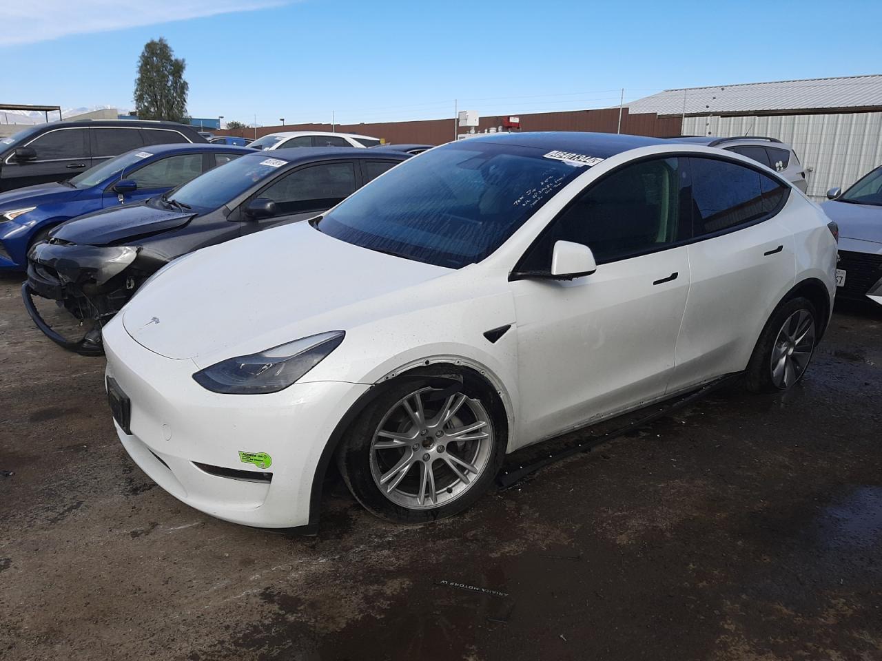 2023 TESLA MODEL Y