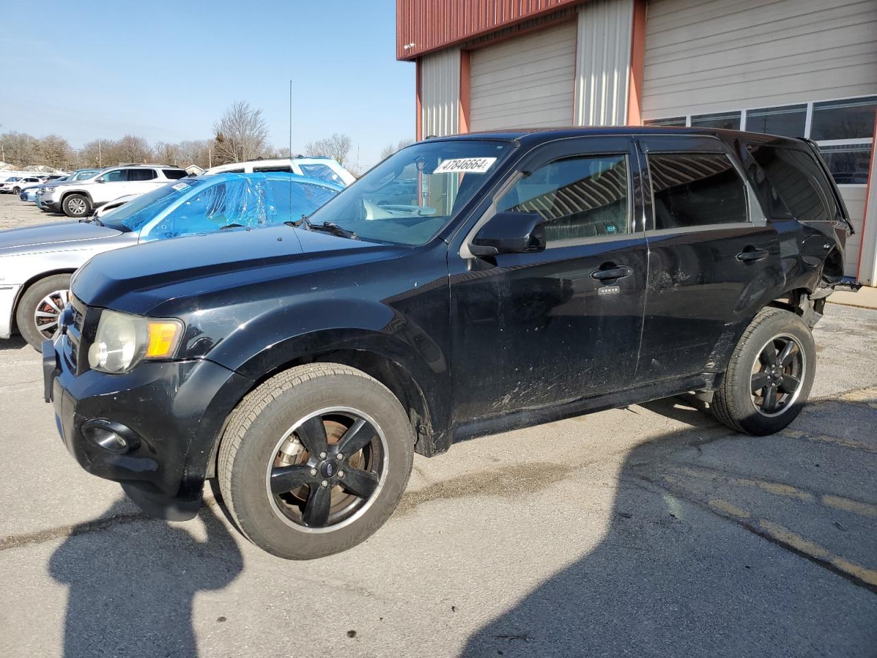 2010 FORD ESCAPE XLT