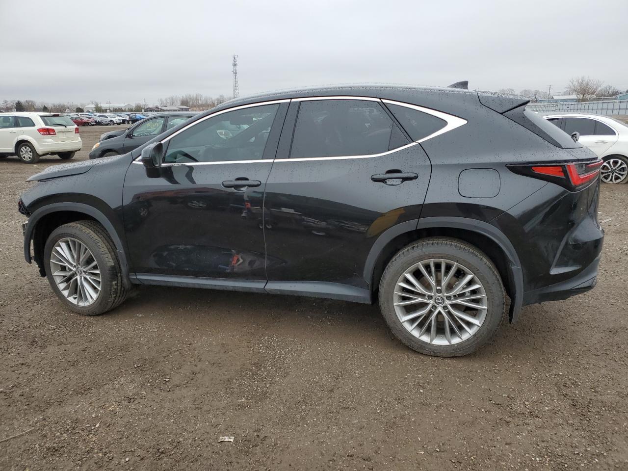2024 LEXUS NX 350H BA - Image 2