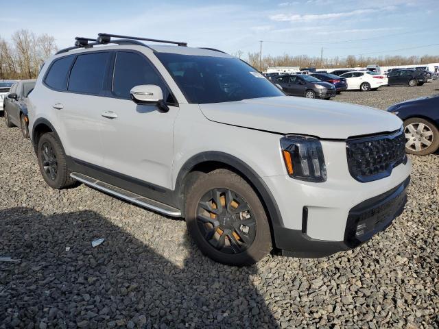 2024 Kia Telluride Sx - Фото 4