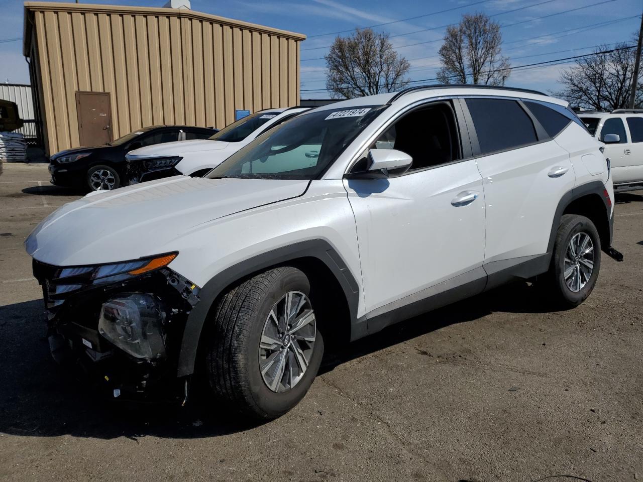 2024 HYUNDAI TUCSON BLU car image