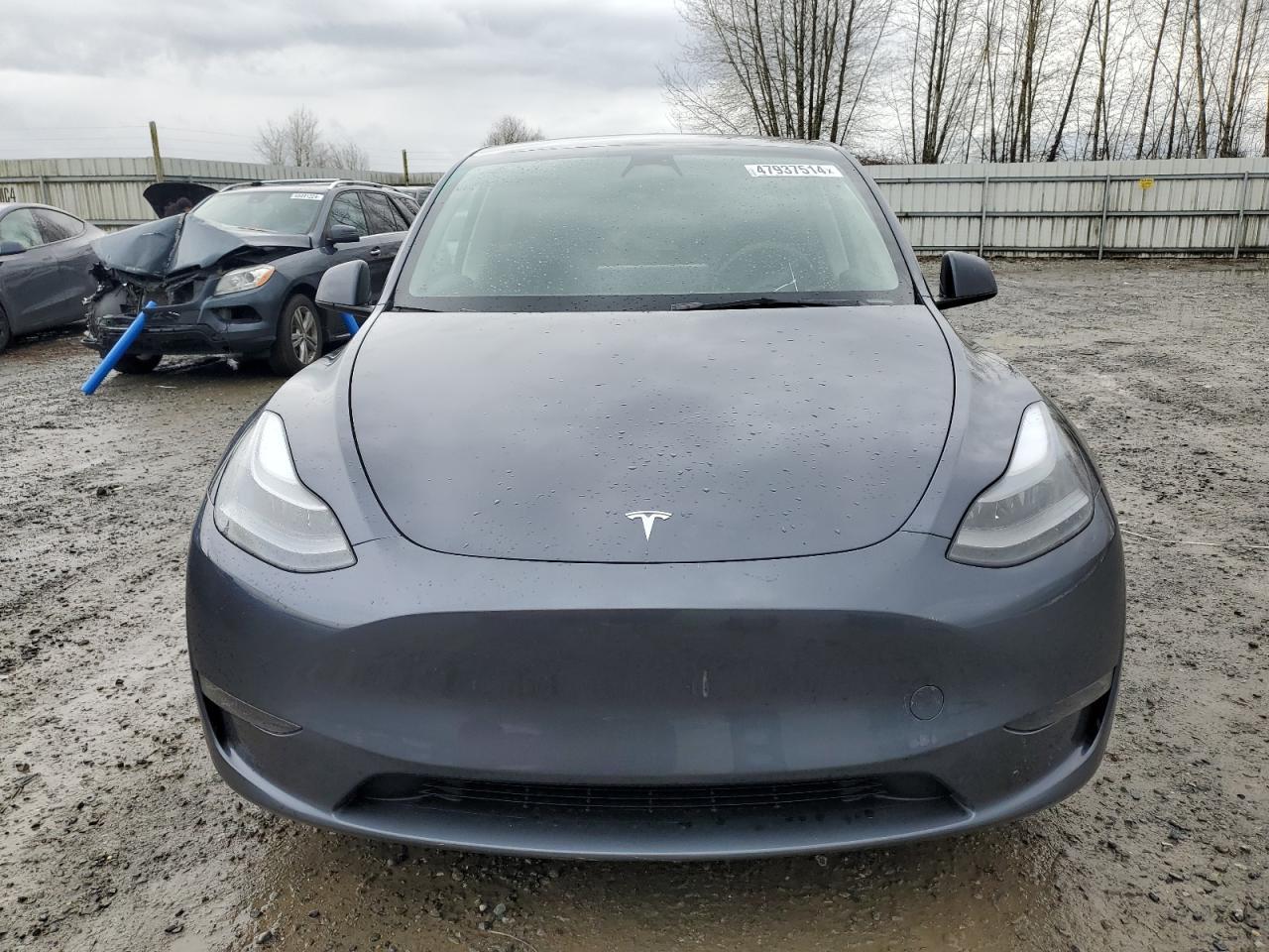 2023 TESLA MODEL Y - Фото 5