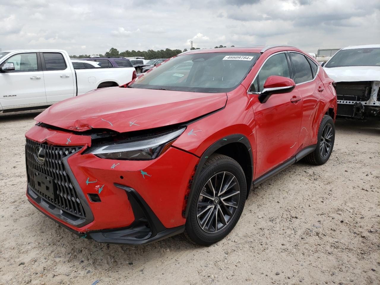 2024 LEXUS NX 250 PRE car image