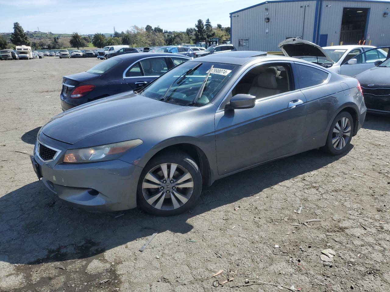 2010 HONDA ACCORD EXL