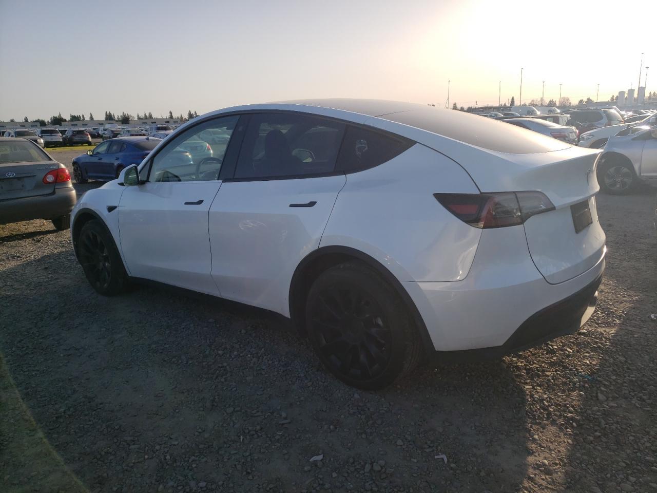 2023 TESLA MODEL Y - Image 2