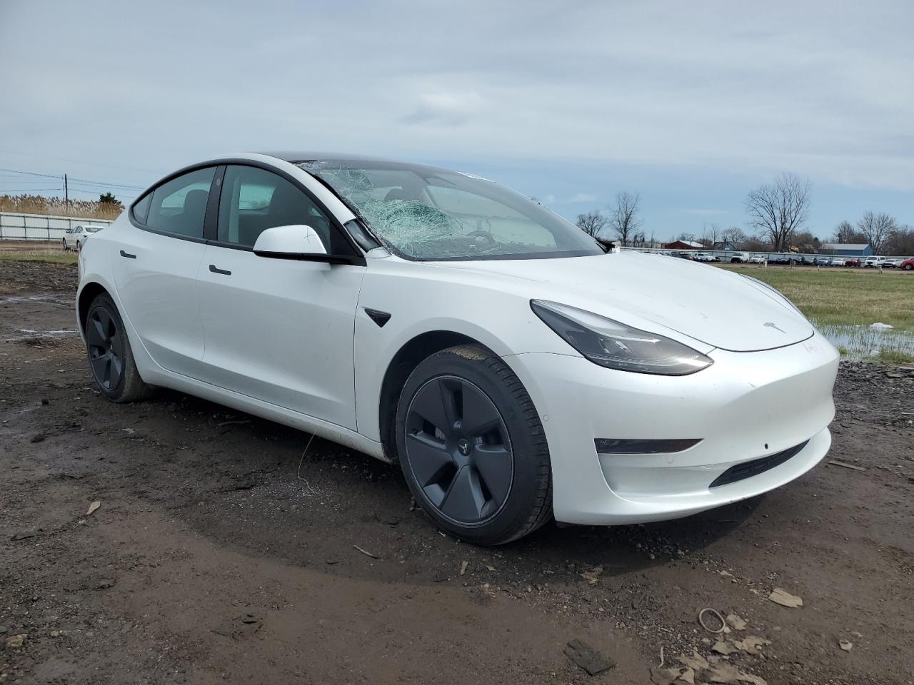2022 TESLA MODEL 3 - Image 4