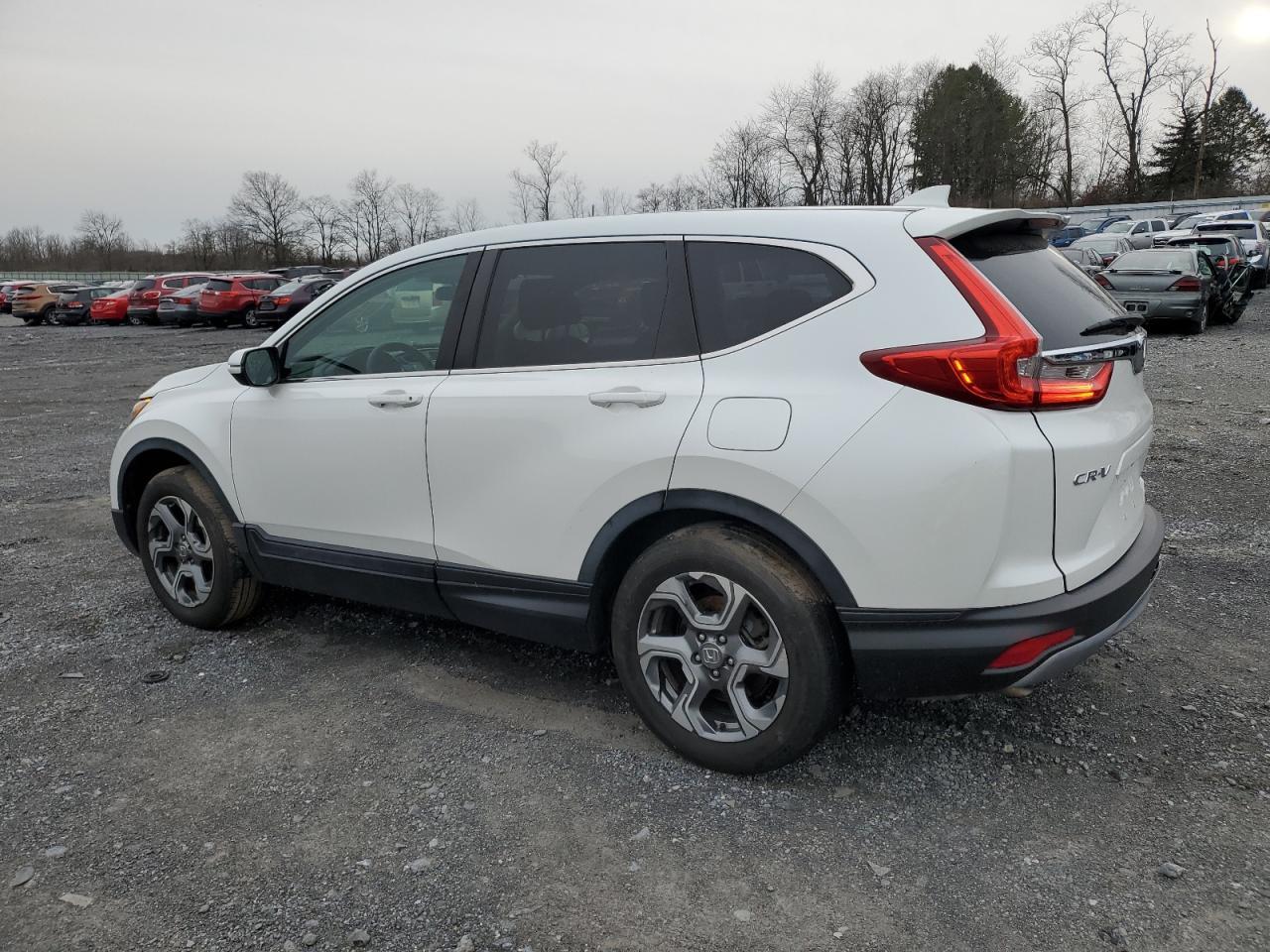 2019 HONDA CR-V EX - Фото 2