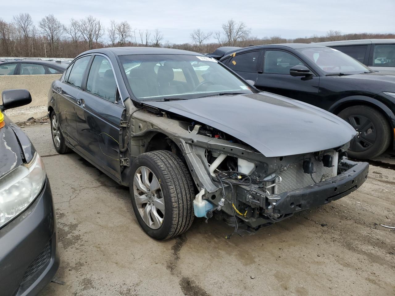 2010 HONDA ACCORD EXL - Фото 4